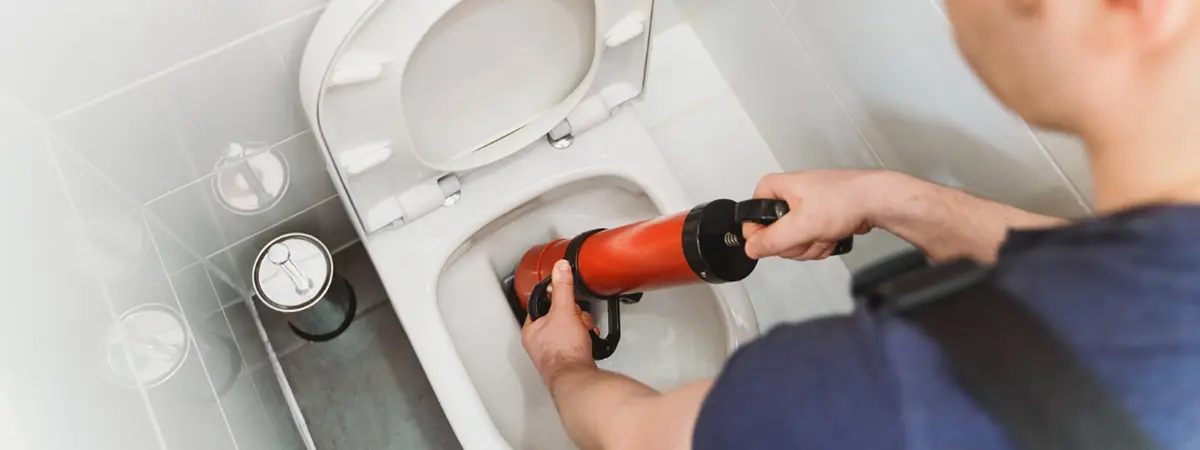 Assainissement de WC : comment entretenir, déboucher et prévenir les problèmes